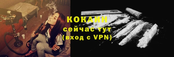 молекула духа Арсеньев