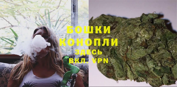 молекула духа Арсеньев