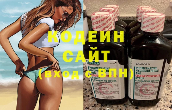 молекула духа Арсеньев