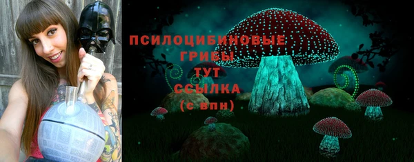 МДПВ Армянск