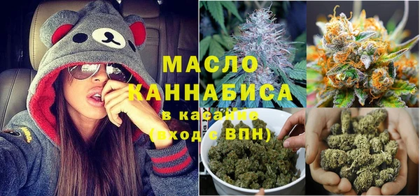 молекула духа Арсеньев